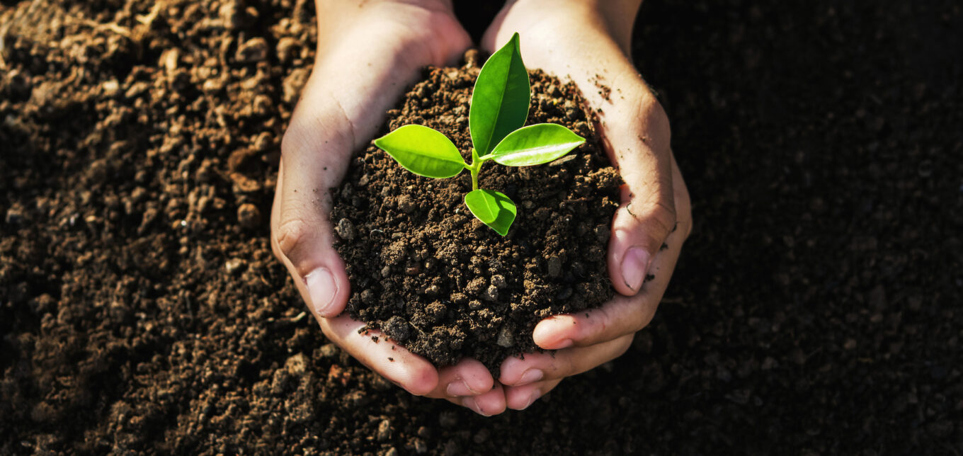 Why is Earth Day Important? – Mother Earth News - Vimarsana News